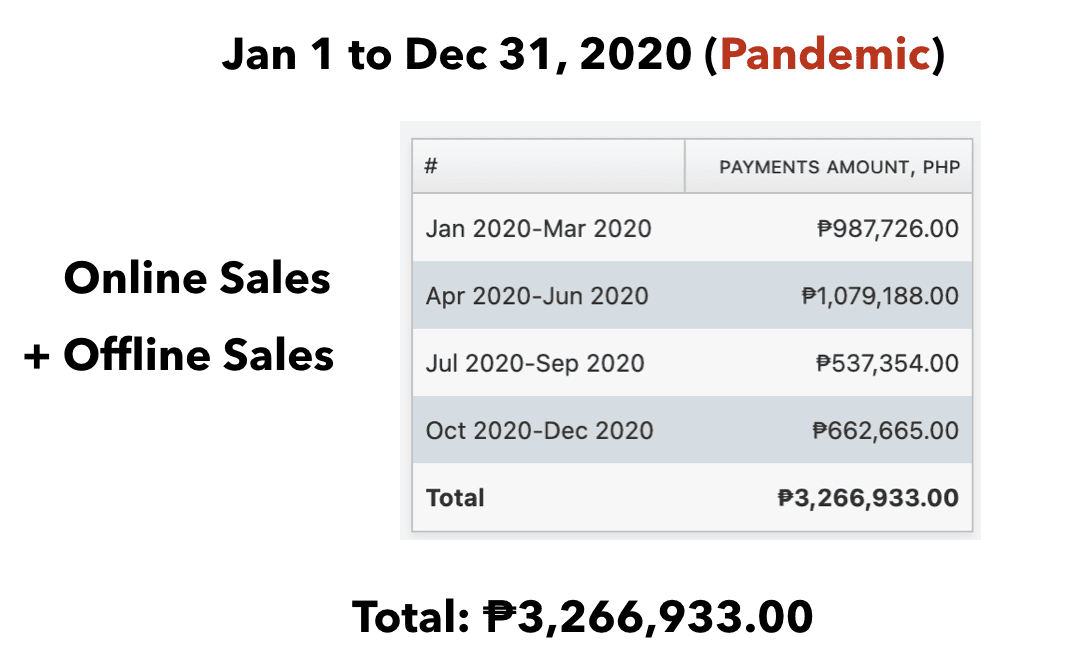 Jan 1 to Dec 31 2020 (Pandemic) Income